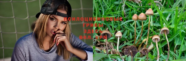 ешки Алексин